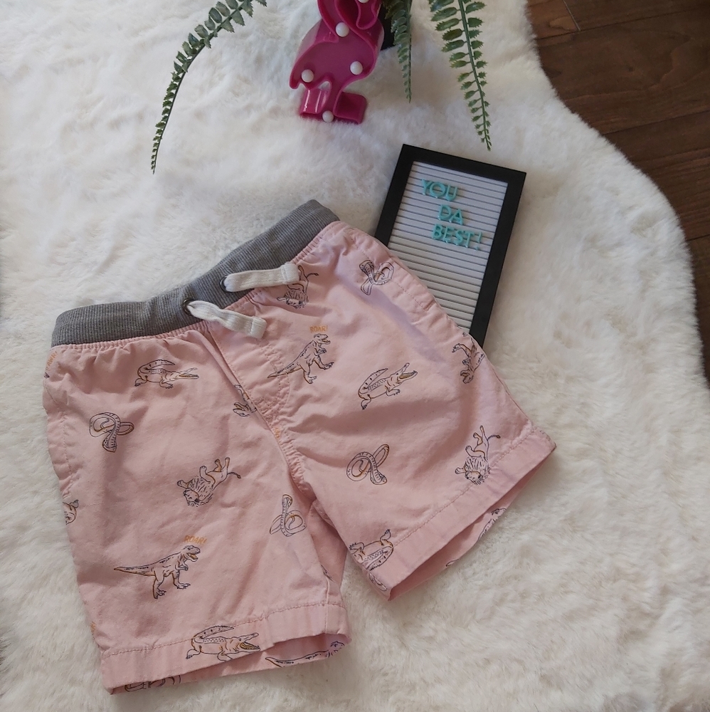 Cat and Jack Animal Shorts